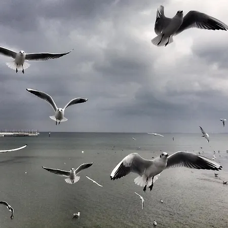 Panorama - Happy Hours Sopot