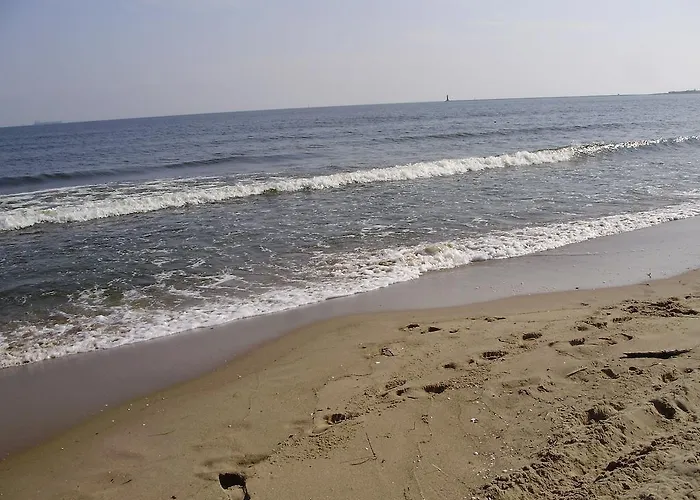 Panorama - Happy Hours * סופוט