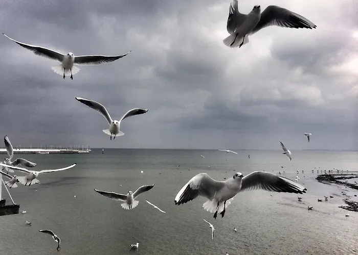 Panorama - Happy Hours סופוט